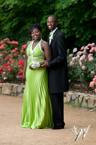 diondraprompics-102