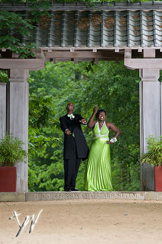 diondraprompics-107