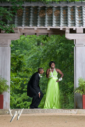 diondraprompics-108